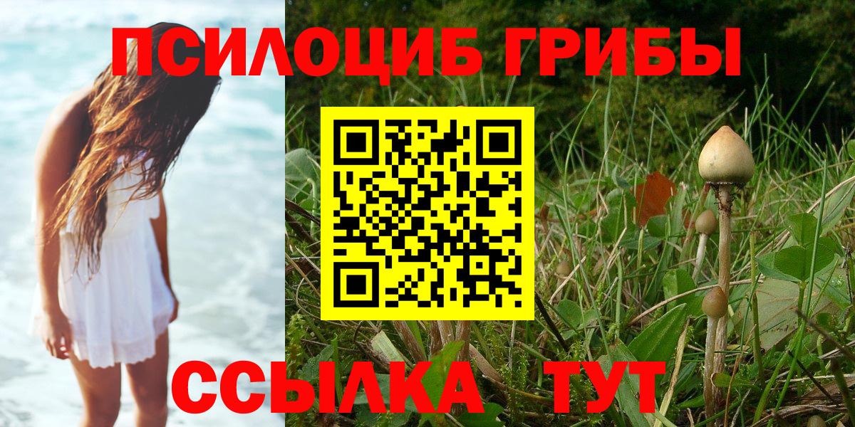 Галлюциногенные грибы мицелий Канаш
