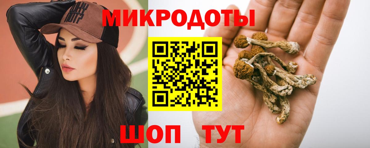 Псилоцибиновые грибы мицелий  Псилоцибиновые грибы Psilocybe  Канаш  Вход с VPN 